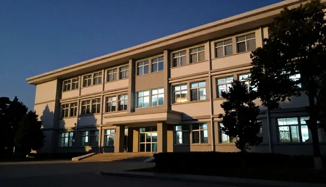 食品安全检测优化:技术咨询服务如何提升检测效率